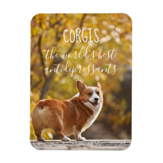 Imán Corgis Los mejores antidepresivos del mundo