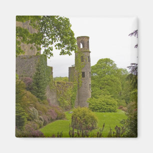 Imán Cork, Irlanda. El infame Castillo Blarney 2