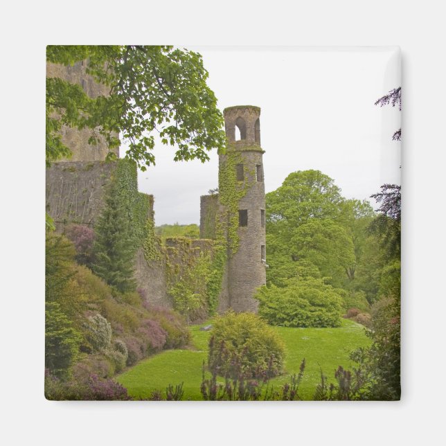 Imán Cork, Irlanda. El infame Castillo Blarney 2 (Frente)