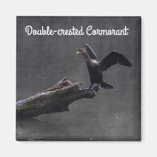 Imán Cormorant de doble cresta