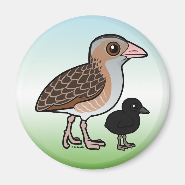 Imán Corn Crake con bebé (Frente)