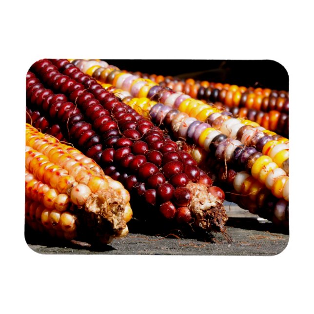 Imán Corn indio (Horizontal)