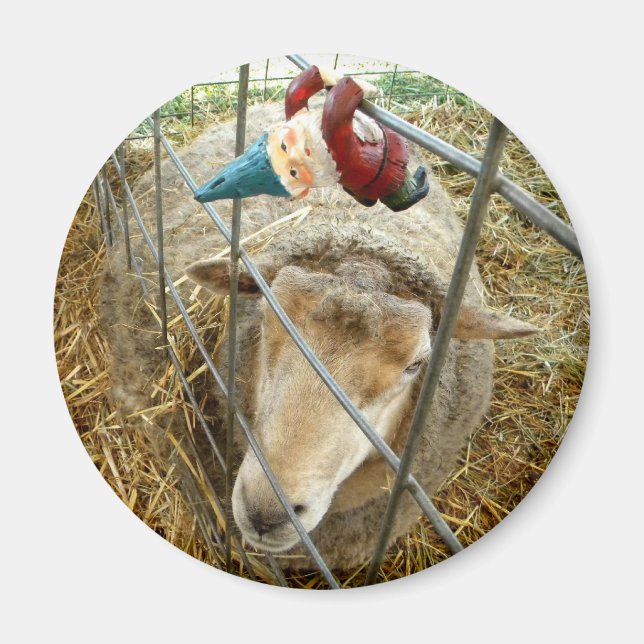 Imán Cornelio y la oveja (Frente)