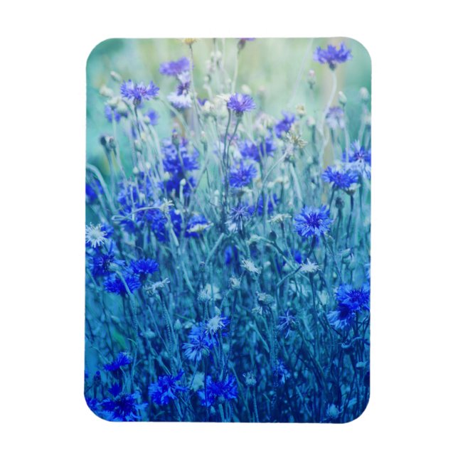 Imán Cornflowers (Vertical)