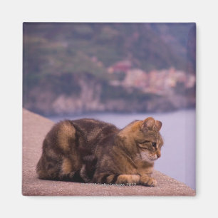 Imán Corniglia, Cinque Terre, Italia