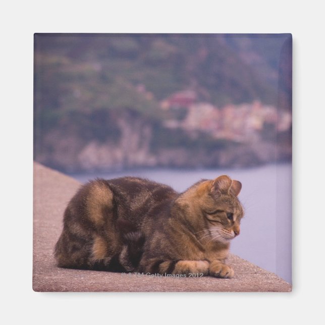 Imán Corniglia, Cinque Terre, Italia (Frente)