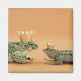 Imán Coronas que llevan de la rana y del lagarto