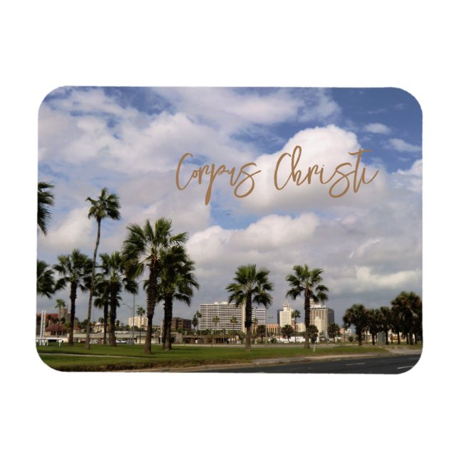 Imán Corpus Christi, Texas Souvenir (Horizontal)