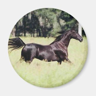 Imán correr como el viento