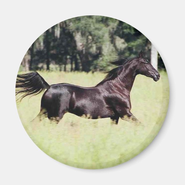 Imán correr como el viento (Frente)