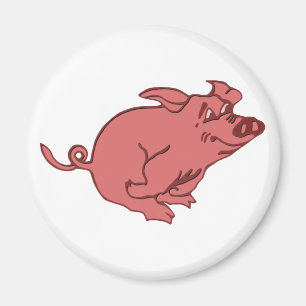 Imán corriendo cerdo running pig