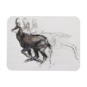 Imán Corriendo Chamois