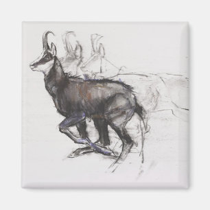 Imán Corriendo Chamois