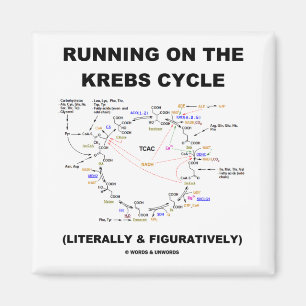 Imán Corriendo En El Ciclo Krebs (Humor De Ciencia)