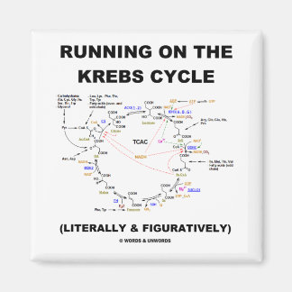 Imán Corriendo En El Ciclo Krebs (Humor De Ciencia)