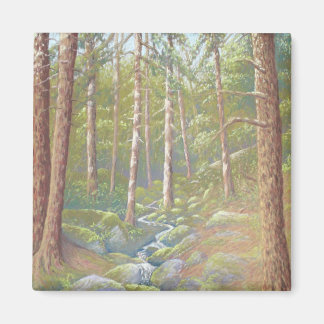 Imán Corriente de Woodland, distrito de Peak en Pastel