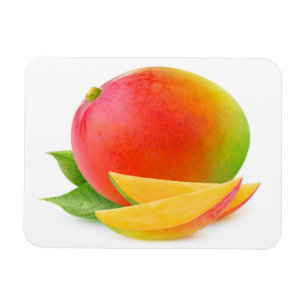 Imán Cortar mango
