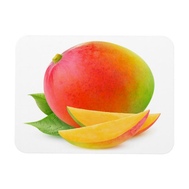 Imán Cortar mango (Horizontal)