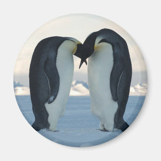 Imán Corte de Emperor Penguin