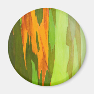 Imán Corteza arco iris eucalipto, Hawái