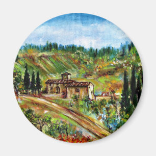 IMÁN CORTIJO VIEJO EN CHIANTI - TOSCANA