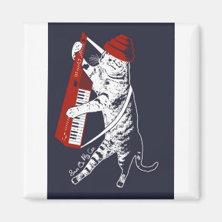 Imán cosas en mi gato - llavero