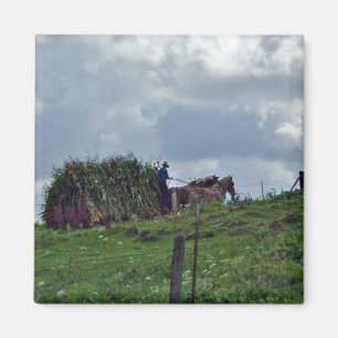 Imán Cosecha de Amish