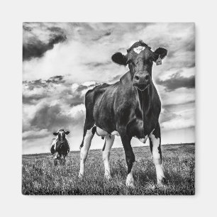 Imán Cosecha de BW que espera