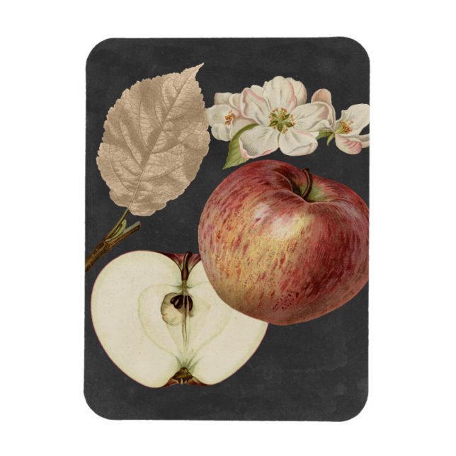 Imán Cosecha de medianoche II (Vertical)