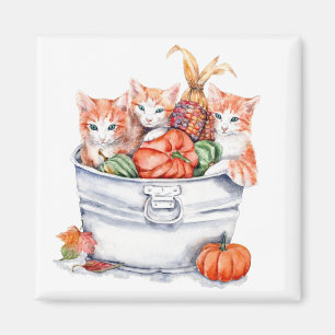 Imán Cosecha gatitos