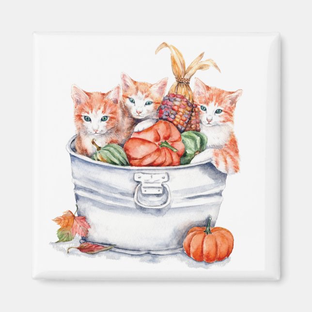 Imán Cosecha gatitos (Frente)