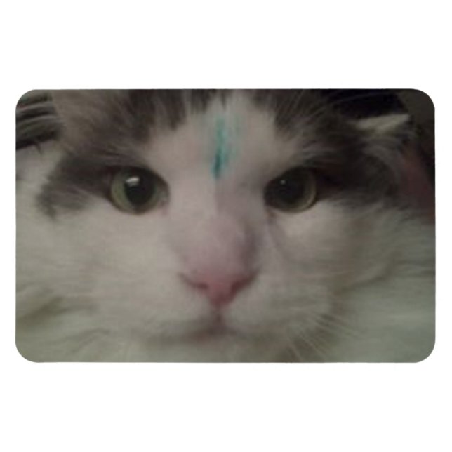 Imán Cosmo 3 Personalizado Magnet (Horizontal)