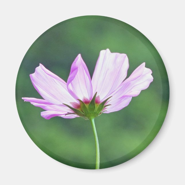 Imán Cosmos (Frente)