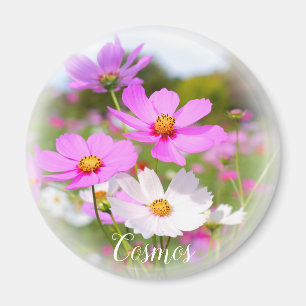Imán Cosmos