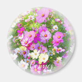 Imán Cosmos マ グ ネ ト