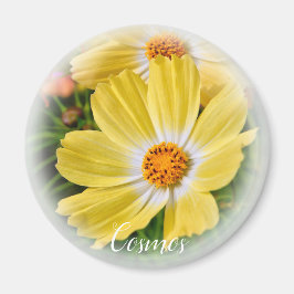 Imán Cosmos マ グ ネ ト