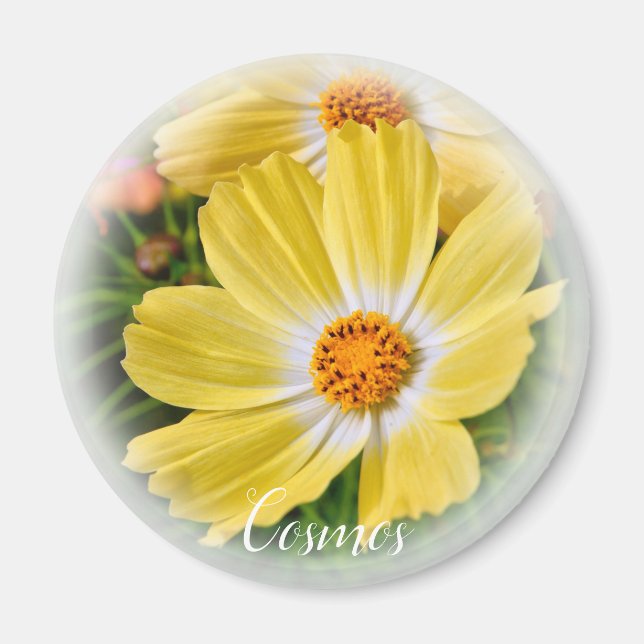 Imán Cosmos マ グ ネ ト (Frente)