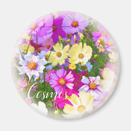 Imán Cosmos マ グ ネ ト