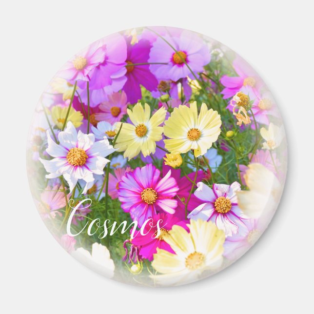 Imán Cosmos マ グ ネ ト (Frente)