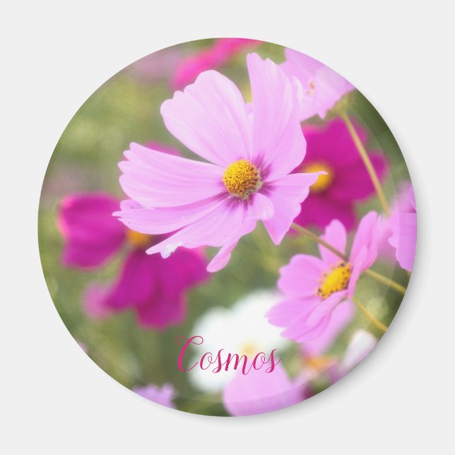 Imán Cosmos [Circle Magnet] (Frente)