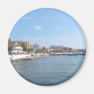 Imán Costa de Cozumel México