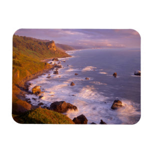 Imán Costa de Redwoods, California