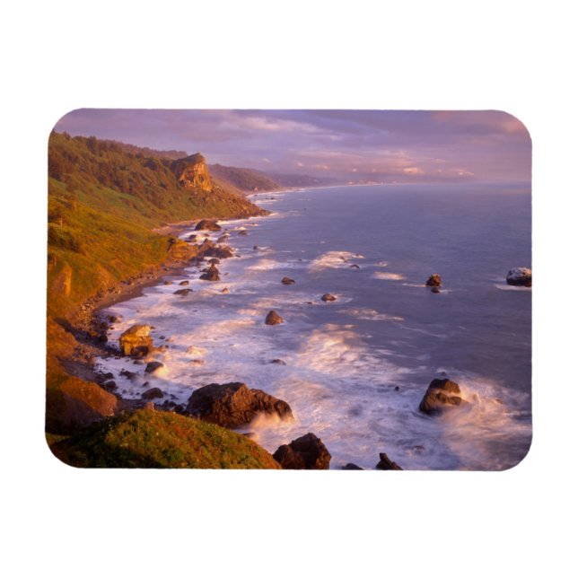 Imán Costa de Redwoods, California (Horizontal)