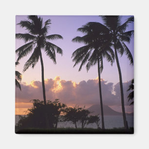 Imán Costa de San Cristóbal