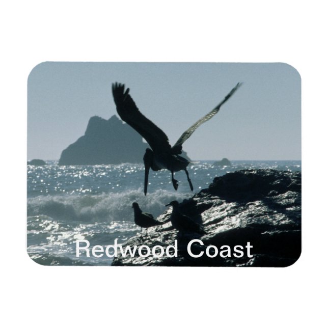 Imán Costa de secuoya pelicular marrón (Horizontal)