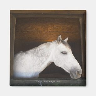 Imán costa del benalamadena, Málaga, Costa del Sol, 2