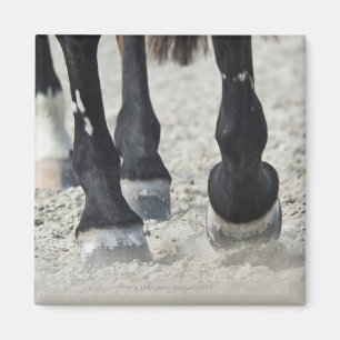 Imán costa del benalamadena, Málaga, Costa del Sol, 2