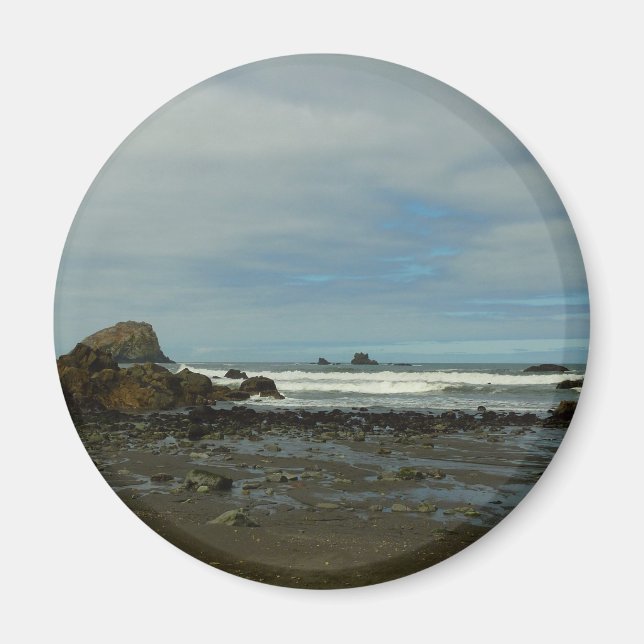 Imán Costa del Pacífico en el Parque Nacional Redwood (Frente)