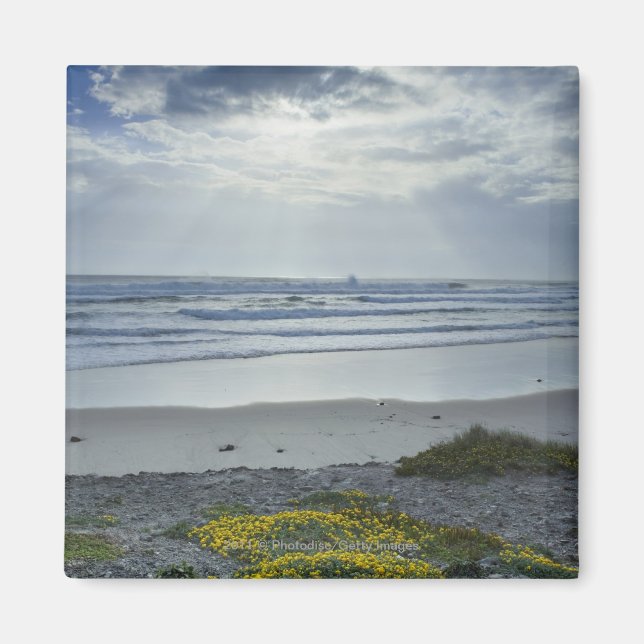 Imán Costa española con flores amarillas y vigas de sol (Frente)