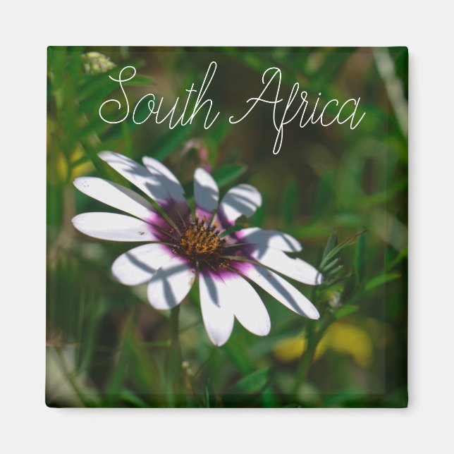 Imán Costa Oeste Sudáfrica Flor salvaje ZA (Frente)